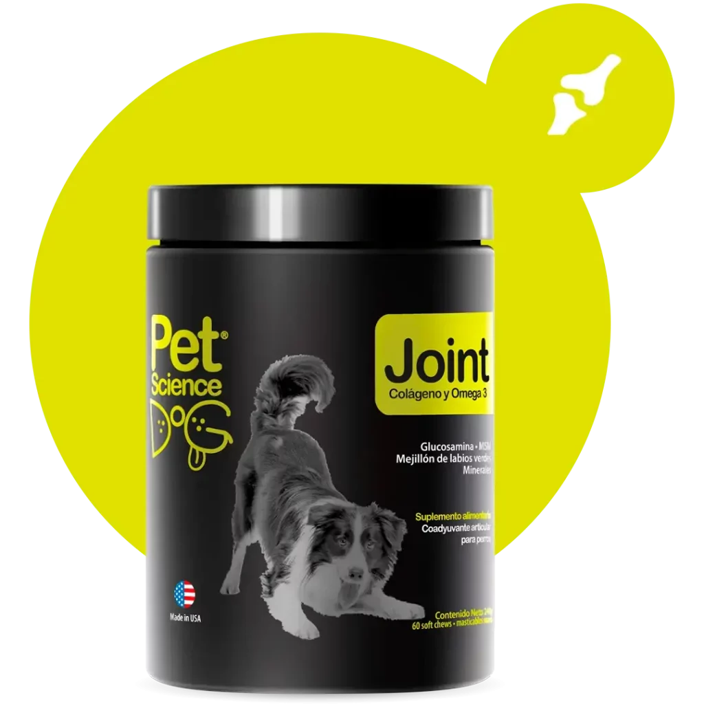 DOG JOINT